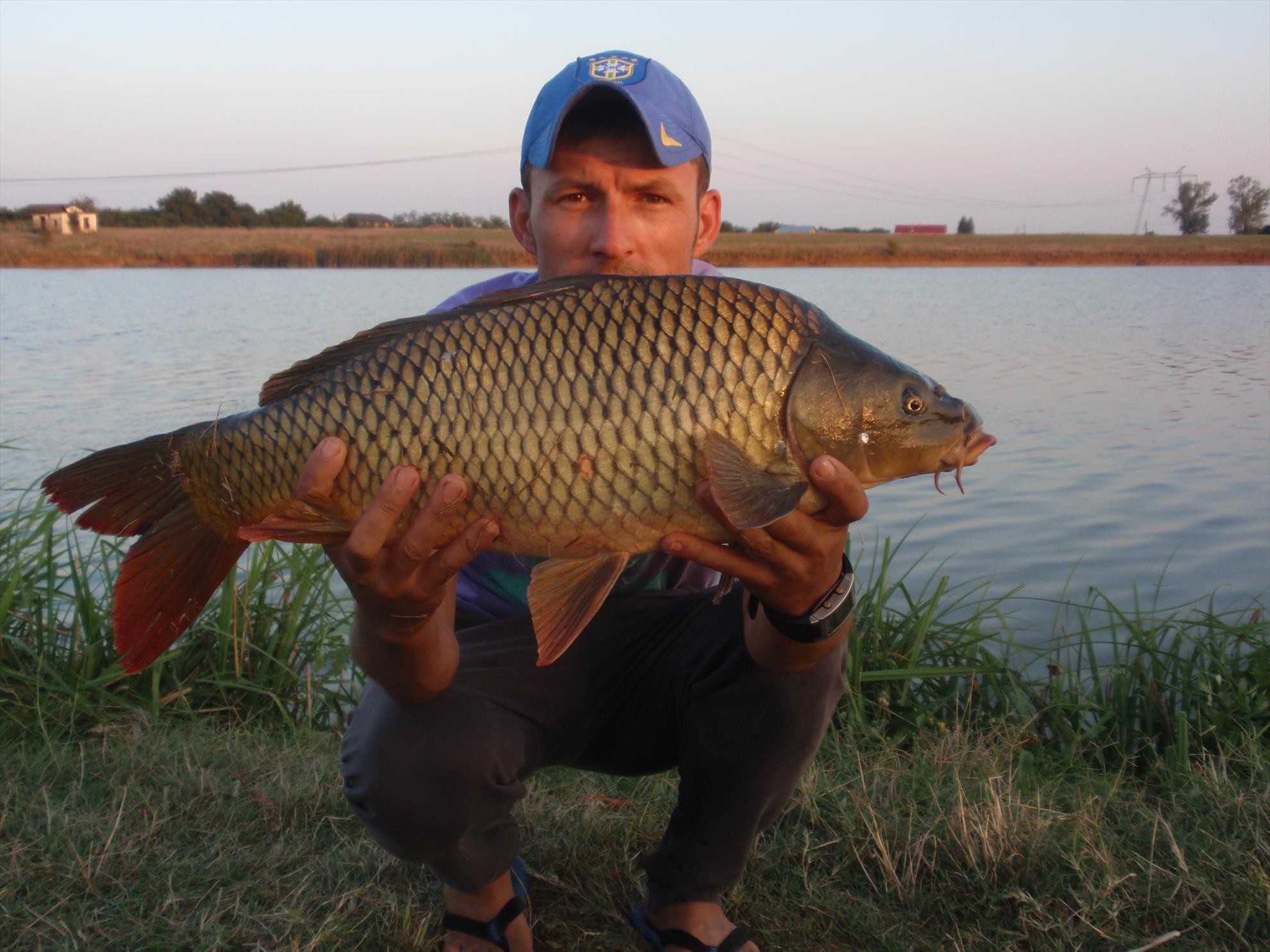 Din viata noastra... - p8250184.JPG